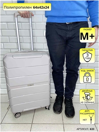 Чемодан L'Case Premium Серебристый Singapore M+ 633