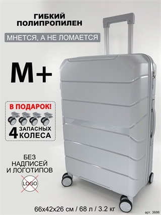 Чемодан BagBox24 Серебристый ISIS M+ (4 колеса в подарок) 3686+wheel