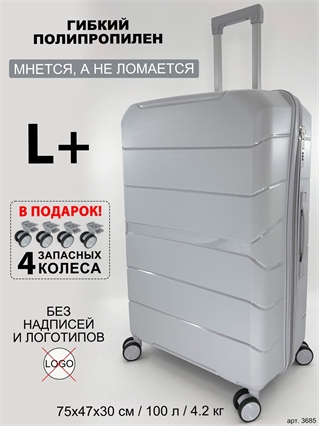 Чемодан BagBox24 Серебристый ISIS L+ (4 колеса в подарок) 3685+wheel